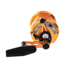 OKUMA REEL MAKAIRA 50 2 SPEED OPEN TOP GOLD  GAME