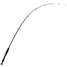 Daiwa Rod Eliminator 661MS Spinning Rod 4-8kg 1pc