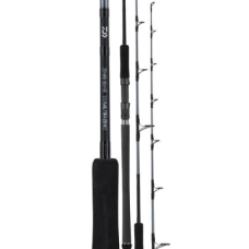Daiwa Rod 20 TD Saltwater S56-3/5