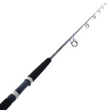 Daiwa Rod 21 BG Bluewater S56-3/5