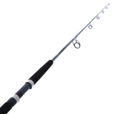 Daiwa Rod 21 BG Bluewater S56-3/5