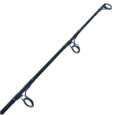 Daiwa Rod 21 BG Bluewater S56-3/5
