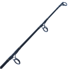 Daiwa Rod 21 BG Bluewater S56-3/5