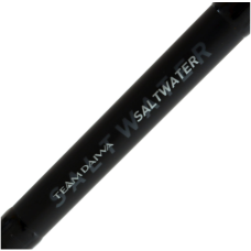 Daiwa Rod 22 TD Saltwater S80-3 Ct:14-50g Line:PE3