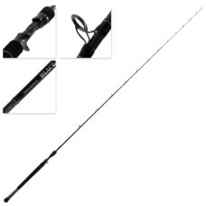 Daiwa Rod 21 TD Black Pirate 66XHB-NZ 90-180g
