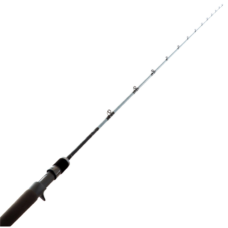 Daiwa Rod 20 TD Saltwater BJ66-2.5