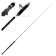 Daiwa Rod 20 TD Saltwater BJ66-2.5