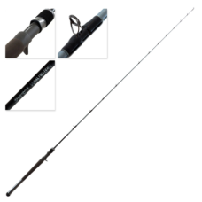 Daiwa Rod 20 TD Saltwater BJ66-2.5