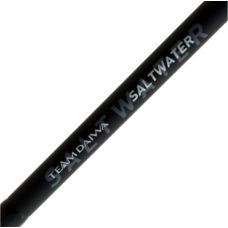 Daiwa Rod 20 TD Saltwater BJ66-2.5