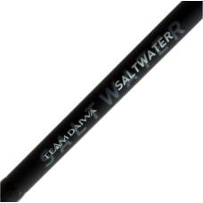 Daiwa Rod 20 TD Saltwater BJ66-2.5