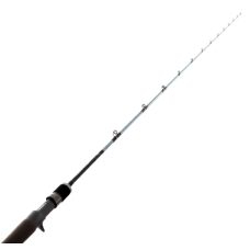 Daiwa Rod 20 TD Saltwater SJ66-2.5