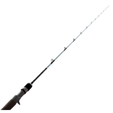 Daiwa Rod 20 TD Saltwater SJ66-2.5