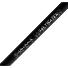 Daiwa Rod 20 TD Saltwater SJ66-2.5