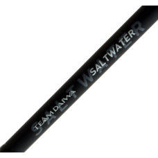 Daiwa Rod 20 TD Saltwater SJ66-2.5