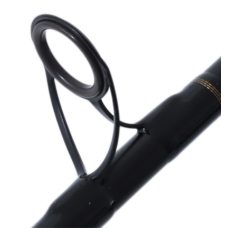 Daiwa Rod 21 BG Bluewater 64BJB-NZ