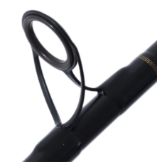 Daiwa Rod 21 BG Bluewater 64BJB-NZ