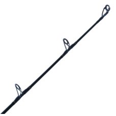 Daiwa Rod 21 BG Bluewater 64BJB-NZ