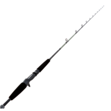 Daiwa Rod Legalis 661MHFB 60-150g PE1-2