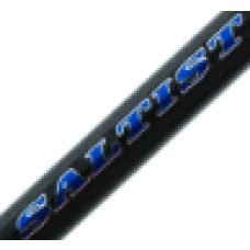 Daiwa Rod Saltist Coastal SAC 601MHS-BJ