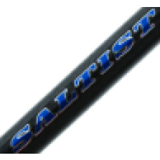 Daiwa Rod Saltist Coastal SAC 601MHS-BJ