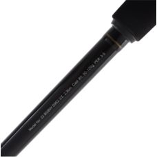 Daiwa Rod 21 BG Bluewater S962-3/5
