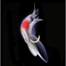 Hayabusa EX127 UV White Shrimp Sabiki