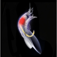 Hayabusa UV White Shrimp Sabiki EX127