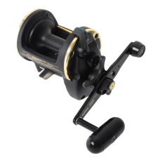 Daiwa Reel Sealine SL 30SHB Overhead