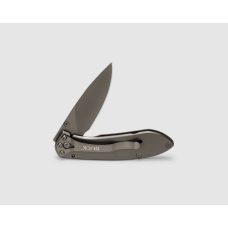 Buck 327 Nobleman Folder - Titanium Coated