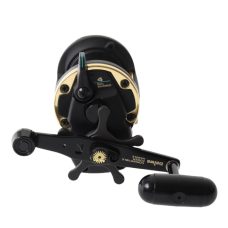 Daiwa Reel Sealine SL-30SH - Black & Gold