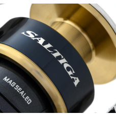 Daiwa Reel 20 Saltiga (G) P  8000P